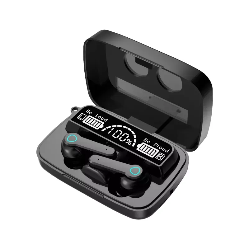 M19 EARBUDS